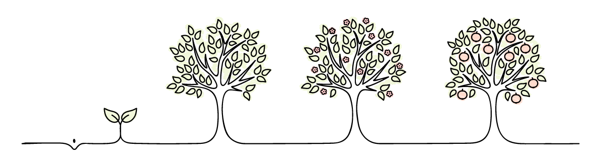 A tree grows from a seed