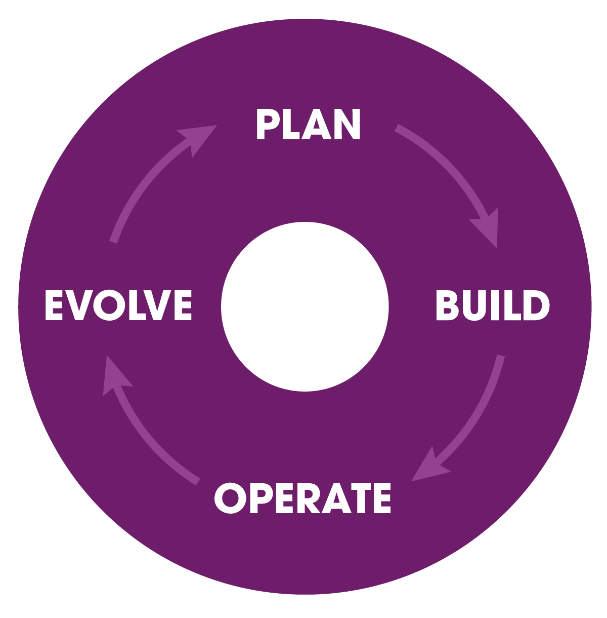 Plan, evolve, build, operate are pictured in a continual cycle.